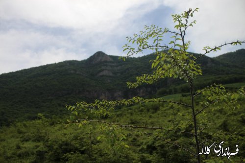 گزارش تصویر/ برگزاری مراسم جشنواره فرهنگ و اقتصاد در روستای زاو بالا بخش پیشکمر