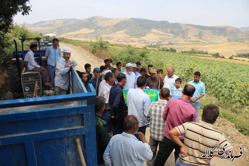 مشارکت مردم دو روستای زاو بالا و پایین در اجرای عملیات زیرسازی و شن ریزی مسیر تفرجگاه چشمه زاو