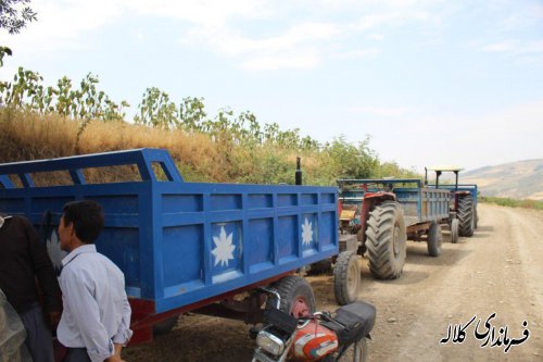 مشارکت مردم دو روستای زاو بالا و پایین در اجرای عملیات زیرسازی و شن ریزی مسیر تفرجگاه چشمه زاو