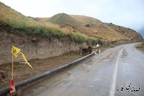 بازدید بخشدار پیشکمر از اجرای عملیات گاز رسانی 6 روستای بخش پیشکمر