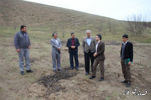 مرحله نهایی راه اندازی اولین دپوی جمع آوری زباله در بخش پیشکمر کلاله