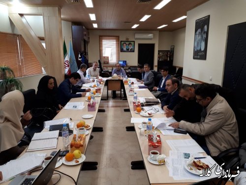 نشست نهایی کمیته تصویب و بازنگری طرح هادی روستای یل چشمه سفلی  بخش پیشکمر در محل بنیاد مسکن استان گلستان