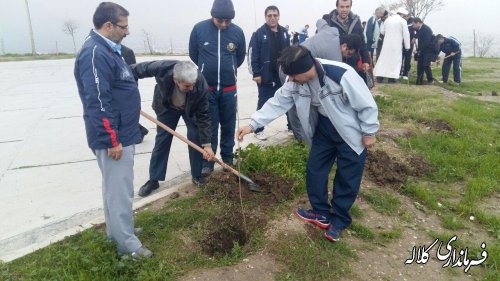 درخت کاری درحاشیه  مزار شهدای گمنام شهرستان کلاله