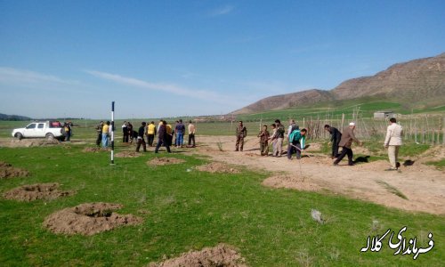 بمناسبت هفته منابع طبیعی؛ 5 هزار اصله نهال مثمر در بخش پیشکمر غرس می شود.