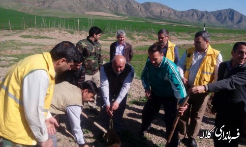 بمناسبت هفته منابع طبیعی؛ 5 هزار اصله نهال مثمر در بخش پیشکمر غرس می شود.