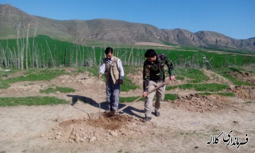 بمناسبت هفته منابع طبیعی؛ 5 هزار اصله نهال مثمر در بخش پیشکمر غرس می شود.