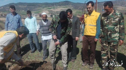 بمناسبت هفته منابع طبیعی؛ 5 هزار اصله نهال مثمر در بخش پیشکمر غرس می شود.