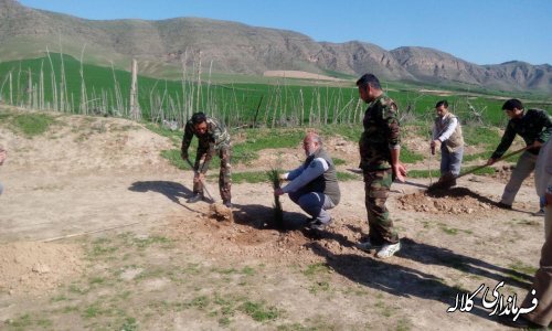 بمناسبت هفته منابع طبیعی؛ 5 هزار اصله نهال مثمر در بخش پیشکمر غرس می شود.