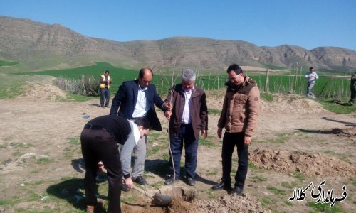بمناسبت هفته منابع طبیعی؛ 5 هزار اصله نهال مثمر در بخش پیشکمر غرس می شود.