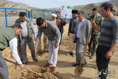 بمناسبت هفته منابع طبیعی؛ 5 هزار اصله نهال مثمر در بخش پیشکمر غرس می شود.
