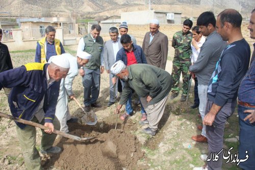 بمناسبت هفته منابع طبیعی؛ 5 هزار اصله نهال مثمر در بخش پیشکمر غرس می شود.