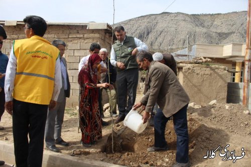 بمناسبت هفته منابع طبیعی؛ 5 هزار اصله نهال مثمر در بخش پیشکمر غرس می شود.