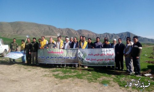 بمناسبت هفته منابع طبیعی؛ 5 هزار اصله نهال مثمر در بخش پیشکمر غرس می شود.