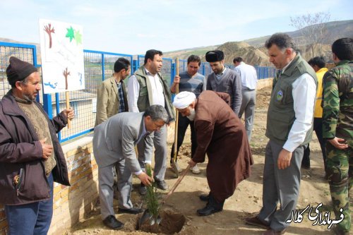 بمناسبت هفته منابع طبیعی؛ 5 هزار اصله نهال مثمر در بخش پیشکمر غرس می شود.