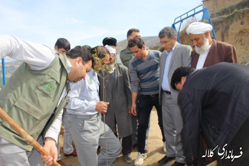 بمناسبت هفته منابع طبیعی؛ 5 هزار اصله نهال مثمر در بخش پیشکمر غرس می شود.