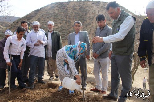 بمناسبت هفته منابع طبیعی؛ 5 هزار اصله نهال مثمر در بخش پیشکمر غرس می شود.