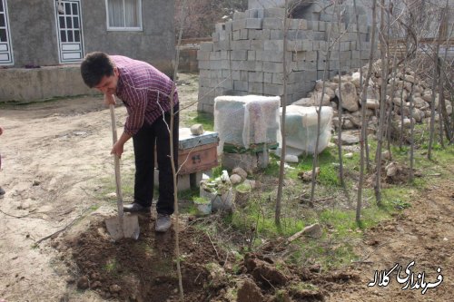 بمناسبت هفته منابع طبیعی؛ 5 هزار اصله نهال مثمر در بخش پیشکمر غرس می شود.