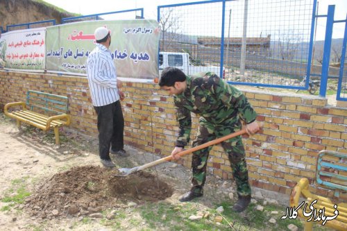بمناسبت هفته منابع طبیعی؛ 5 هزار اصله نهال مثمر در بخش پیشکمر غرس می شود.