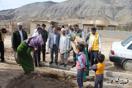 بمناسبت هفته منابع طبیعی؛ 5 هزار اصله نهال مثمر در بخش پیشکمر غرس می شود.