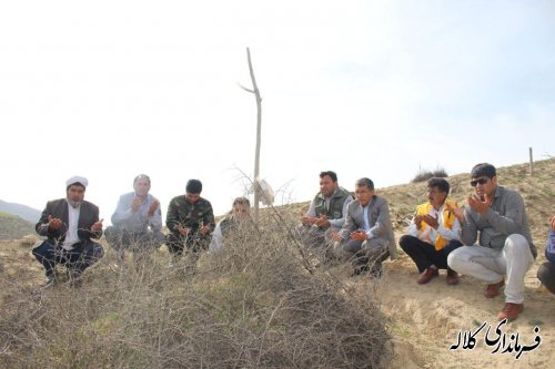 بمناسبت هفته منابع طبیعی؛ 5 هزار اصله نهال مثمر در بخش پیشکمر غرس می شود.