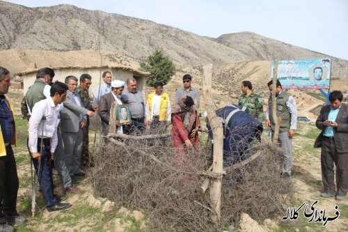 بمناسبت هفته منابع طبیعی؛ 5 هزار اصله نهال مثمر در بخش پیشکمر غرس می شود.