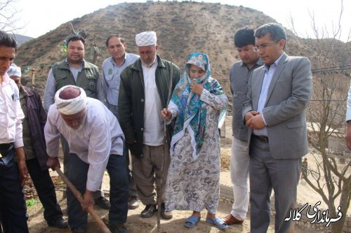 بمناسبت هفته منابع طبیعی؛ 5 هزار اصله نهال مثمر در بخش پیشکمر غرس می شود.