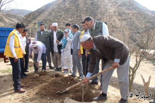 بمناسبت هفته منابع طبیعی؛ 5 هزار اصله نهال مثمر در بخش پیشکمر غرس می شود.