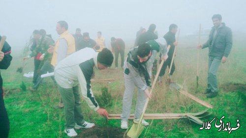 "پیاده روی و کاشت نهال به مناسبت هفته منابع طبیعی"