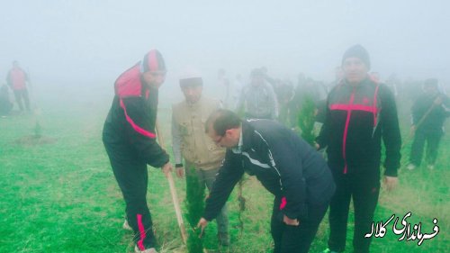 "پیاده روی و کاشت نهال به مناسبت هفته منابع طبیعی"