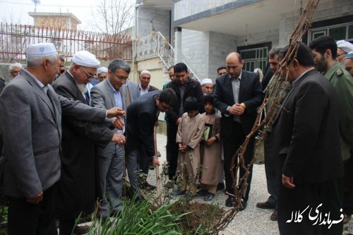 گزارش تصویری مراسم درختکاری شهر فراغی بخش پیشکمر 