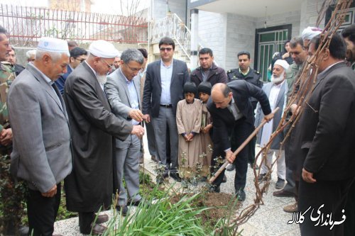 گزارش تصویری مراسم درختکاری شهر فراغی بخش پیشکمر 