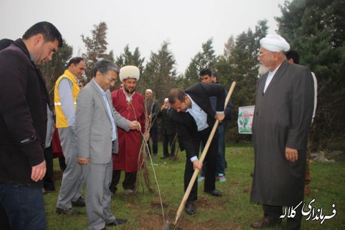 گزارش تصویری مراسم درختکاری شهر فراغی بخش پیشکمر 