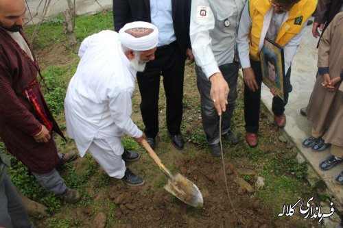 گزارش تصویری مراسم درختکاری شهر فراغی بخش پیشکمر 