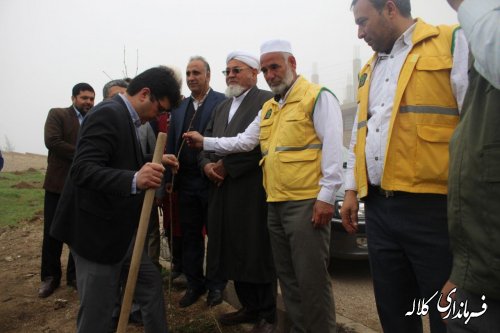 گزارش تصویری مراسم درختکاری شهر فراغی بخش پیشکمر 