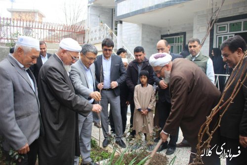 گزارش تصویری مراسم درختکاری شهر فراغی بخش پیشکمر 