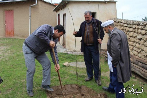 کاشت نهال بخشدار پیشکمر در روستای یل چشمه علیا
