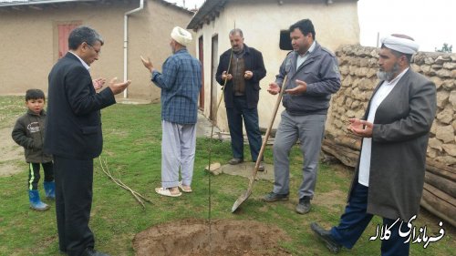 کاشت نهال بخشدار پیشکمر در روستای یل چشمه علیا