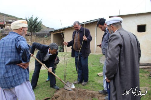 کاشت نهال بخشدار پیشکمر در روستای یل چشمه علیا