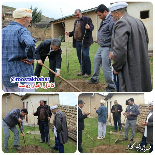 کاشت نهال بخشدار پیشکمر در روستای یل چشمه علیا