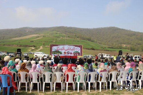 جشنواره فرهنگ و اقتصاد روستای سوار وسط بخش پیشکمر 