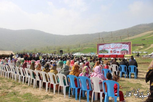 جشنواره فرهنگ و اقتصاد روستای سوار وسط بخش پیشکمر 