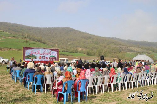 جشنواره فرهنگ و اقتصاد روستای سوار وسط بخش پیشکمر 