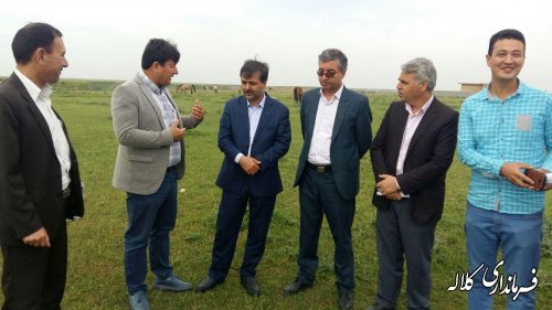 بازدید فرماندار کلاله از محل برگزاری جشنواره اسب صوفیان