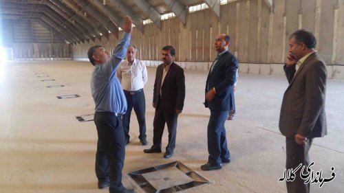 بازدید فرماندار کلاله از مراکز خرید کلزا در شهرستان