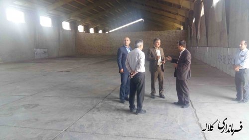 بازدید فرماندار کلاله از مراکز خرید کلزا در شهرستان
