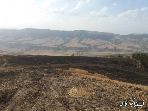حضور بخشدار پیشکمر در محل آتش سوزی زمین کشاورزی روستای یاساقلق
