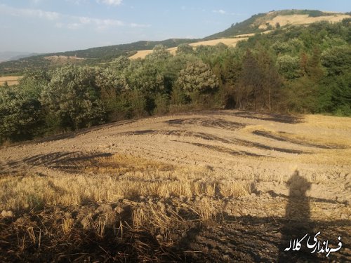 حضور بخشدار پیشکمر در محل آتش سوزی زمین کشاورزی روستای یاساقلق