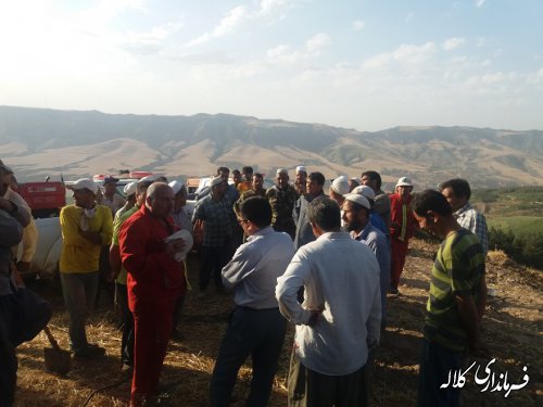 حضور بخشدار پیشکمر در محل آتش سوزی زمین کشاورزی روستای یاساقلق