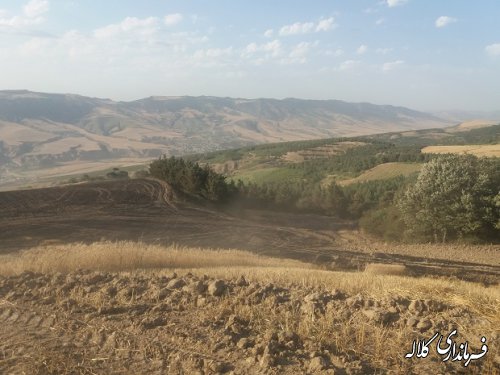 حضور بخشدار پیشکمر در محل آتش سوزی زمین کشاورزی روستای یاساقلق