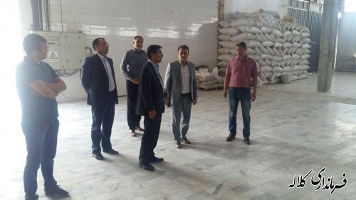 بازدید فرماندار کلاله از تولیدی آجیل دست چین گلستان.